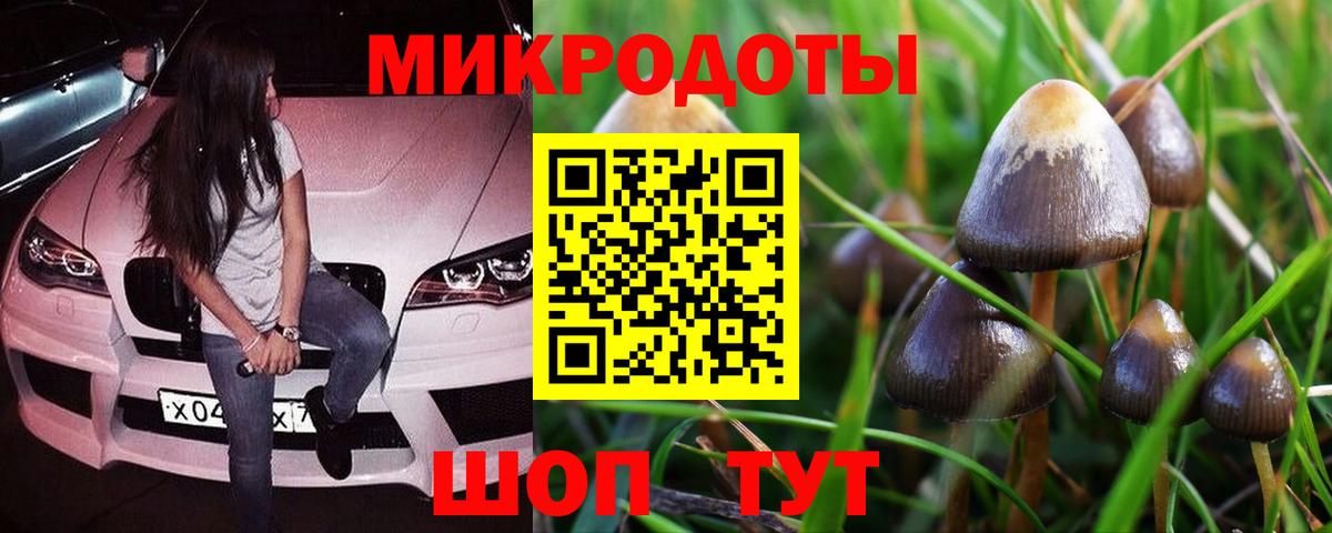 Галлюциногенные грибы MAGIC MUSHROOMS Туапсе